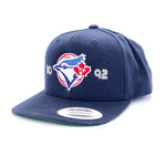 Knoxville Blue Jays Hat